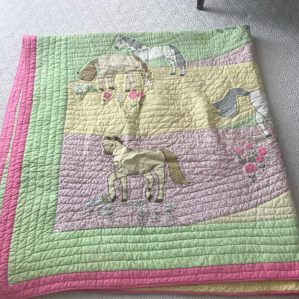 Pottery Barn kids F/Q Quilt